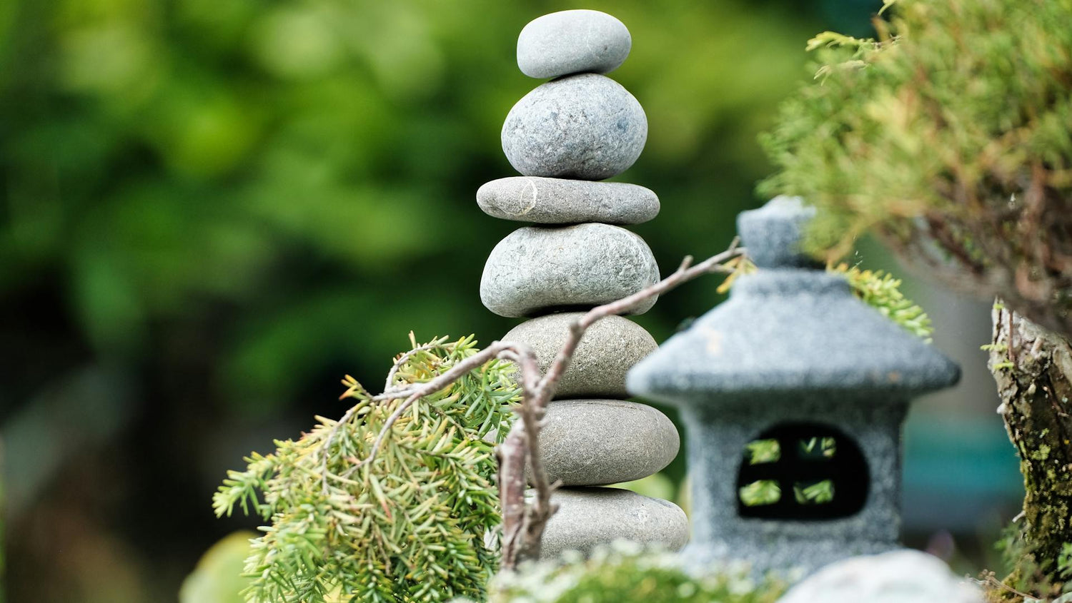 Zen