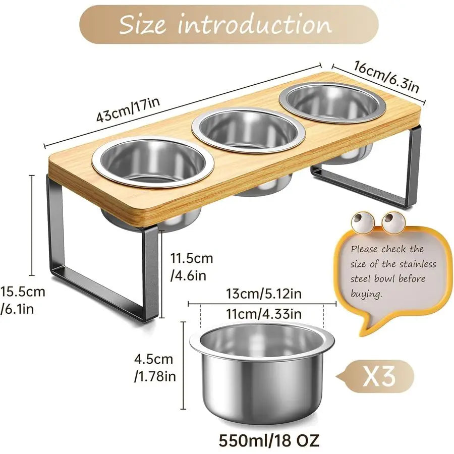 Pack Elevated Cat Bowls with 3 Stainless Steel Bowls 10 Tilted AntiVomiting Raised Cat Food Bowl for Small Cats and Puppies Pet