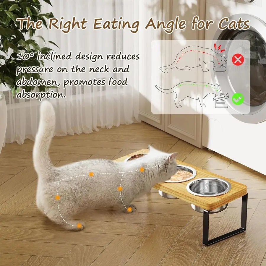 Pack Elevated Cat Bowls with 3 Stainless Steel Bowls 10 Tilted AntiVomiting Raised Cat Food Bowl for Small Cats and Puppies Pet