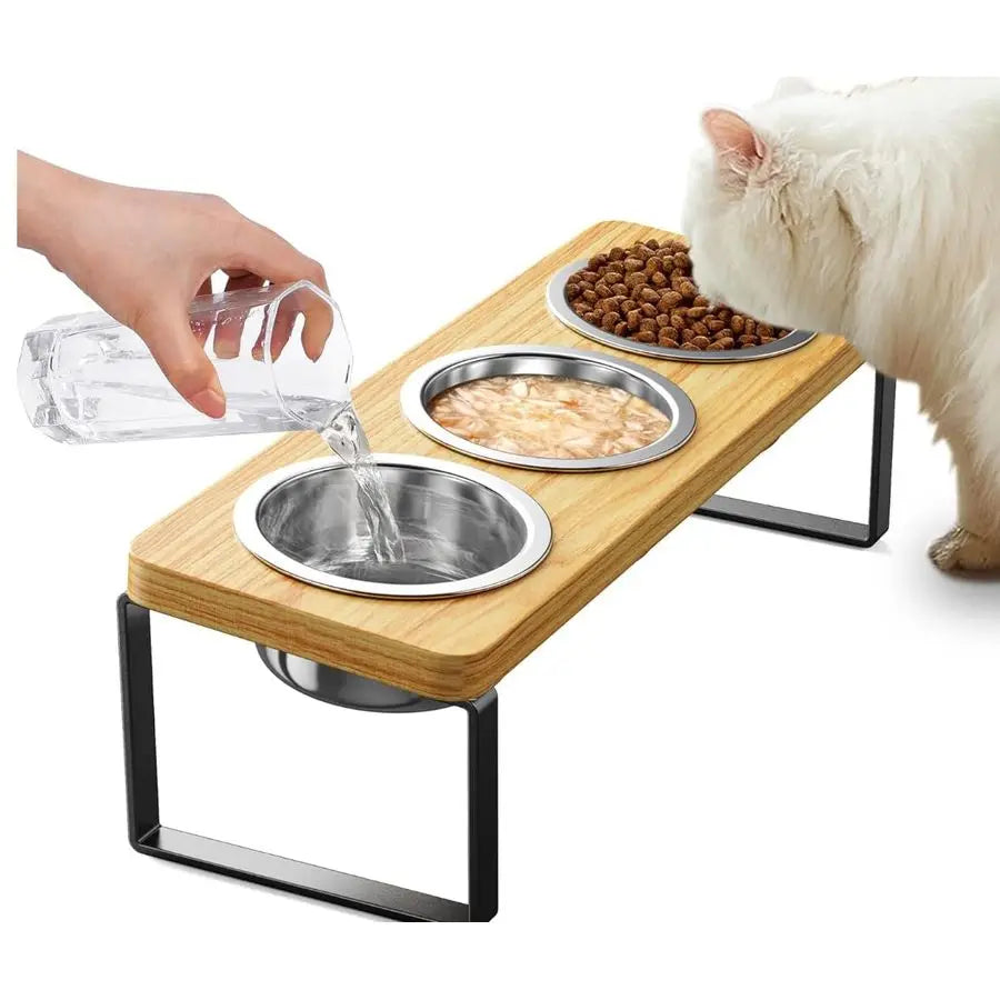 Pack Elevated Cat Bowls with 3 Stainless Steel Bowls 10 Tilted AntiVomiting Raised Cat Food Bowl for Small Cats and Puppies Pet