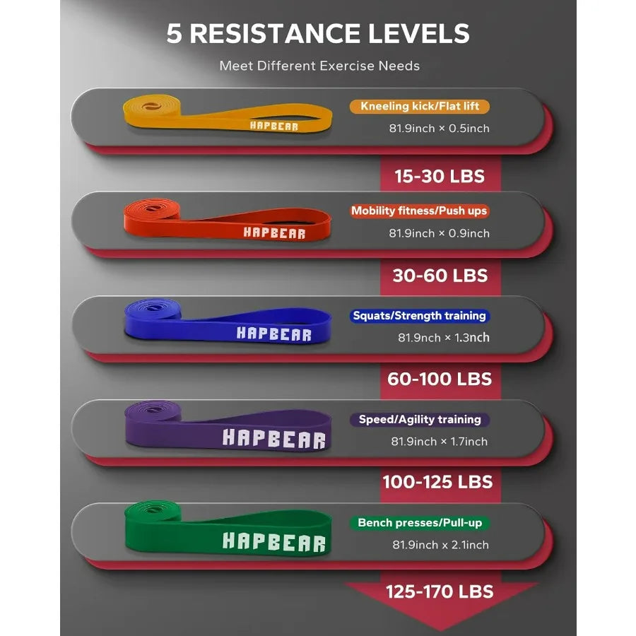 Pull Up Assistance Bands Set of 5 - Resistance Bands for Working Out, Stretching, Physical Therapy, Muscle Training