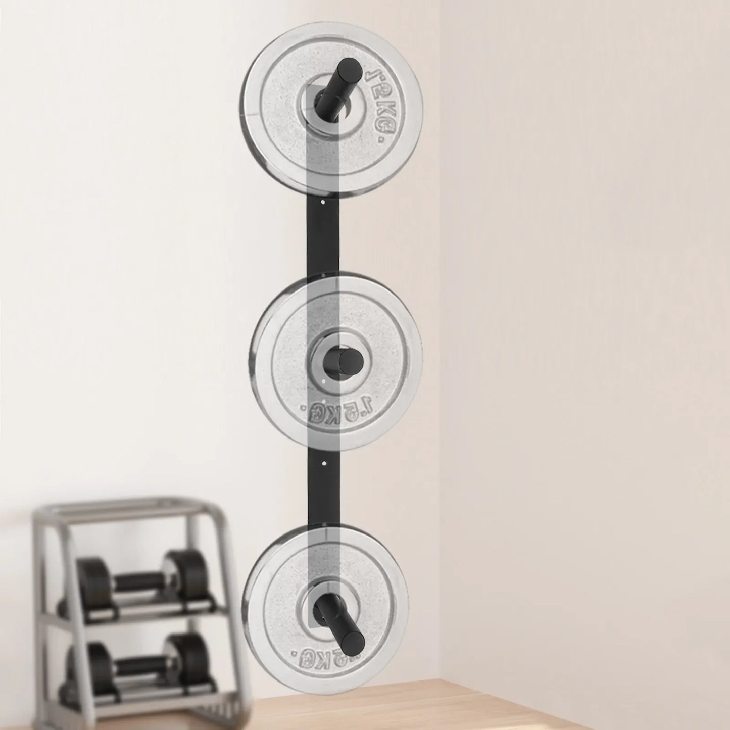Wall Mounted Weight Plate Storage Rack Home Gym Equipment Sturdy Durable High Load Capacity Space Saving Design