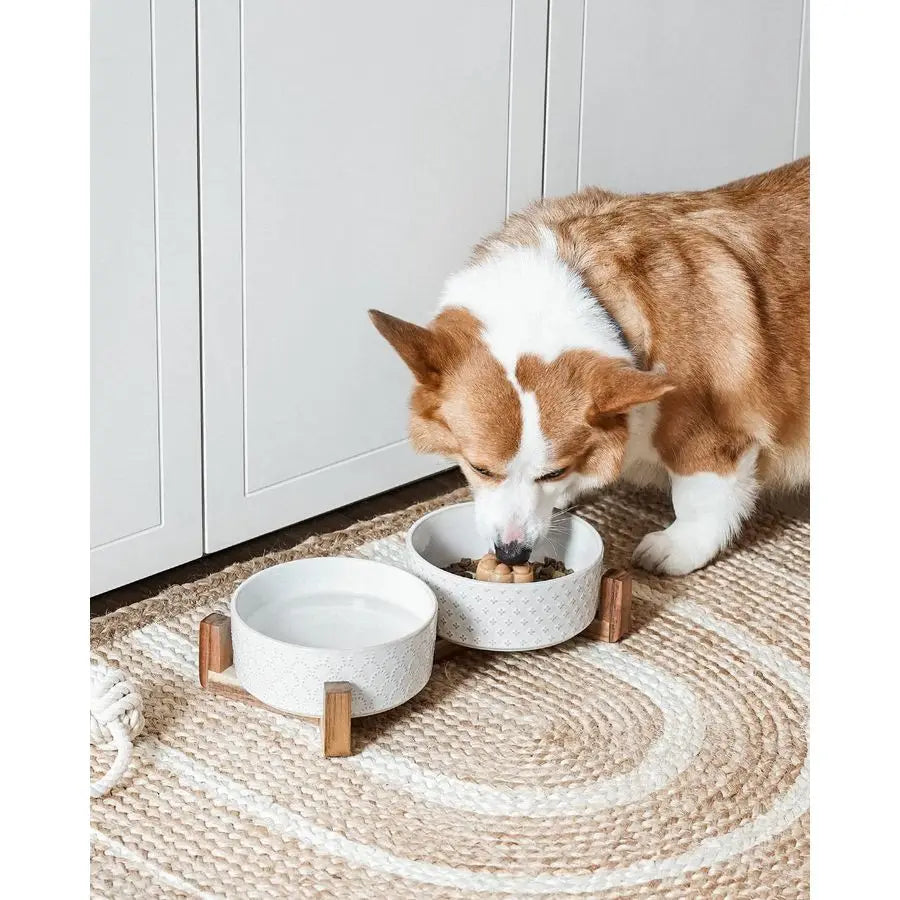 Bowls Ceramic for Small Medium Dogs 3Cup Dual Food amp Water Bowl Set with Acacia Wood Stand, NonSlip AntiTip Elevated Design