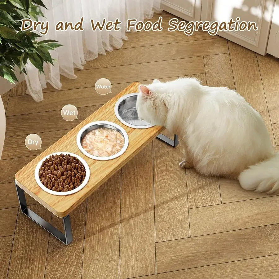 Pack Elevated Cat Bowls with 3 Stainless Steel Bowls 10 Tilted AntiVomiting Raised Cat Food Bowl for Small Cats and Puppies Pet