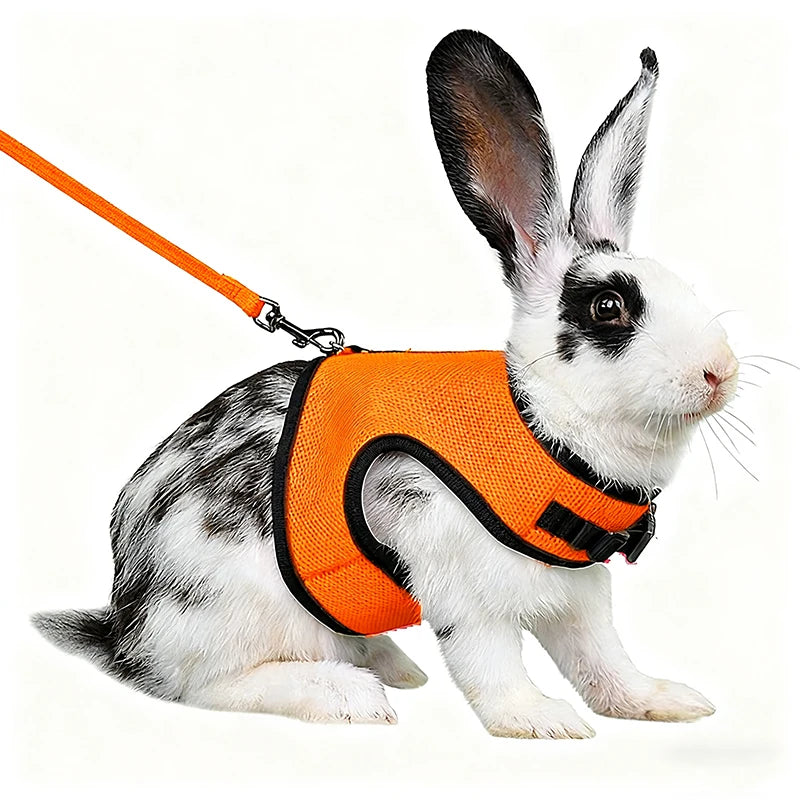 Summer Guinea Pig Hamster Ferret Leash Breathable Mesh Rabbit Pet Harness Bunny Accessories for Cats Cosas Para Animales Reales