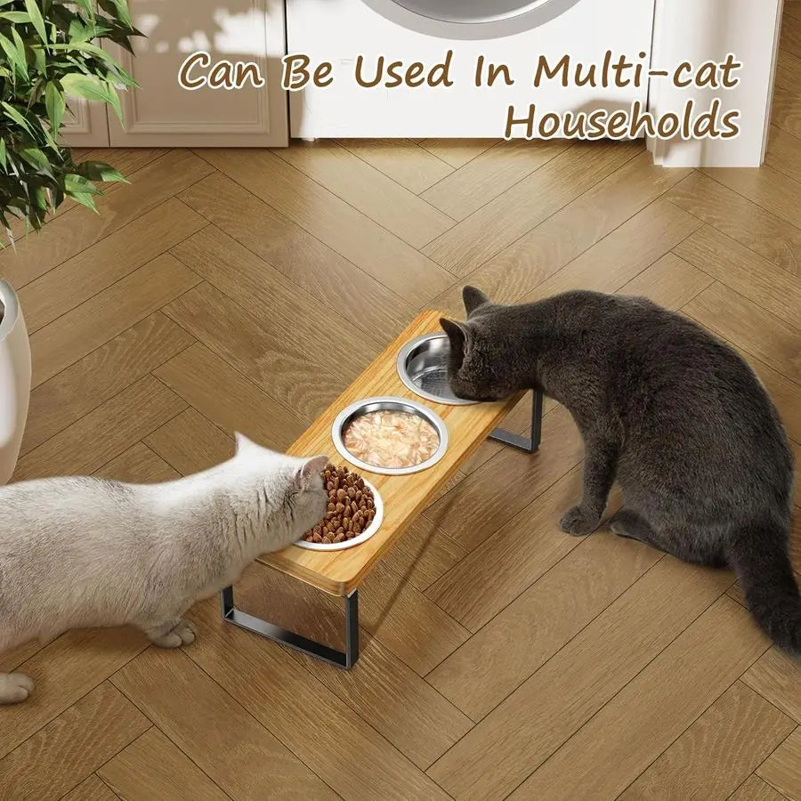 Pack Elevated Cat Bowls with 3 Stainless Steel Bowls 10 Tilted AntiVomiting Raised Cat Food Bowl for Small Cats and Puppies Pet